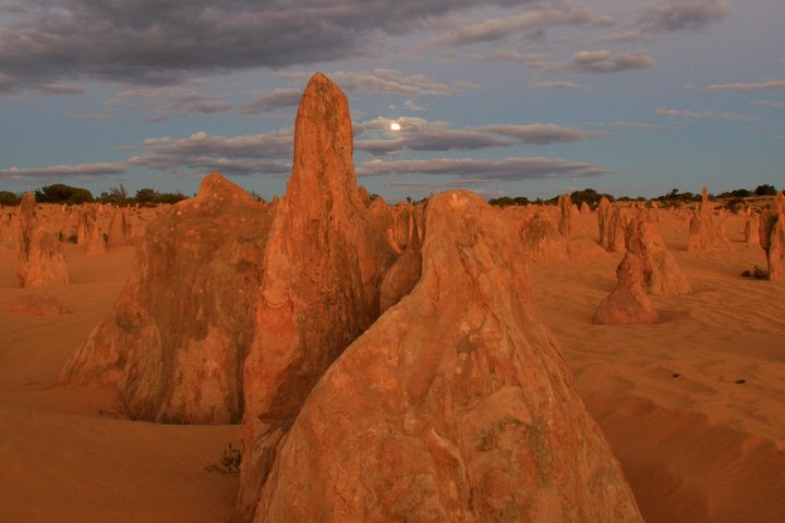 The Pinnacles, Sea And Dunescapes, Bush Reserve And Sunset Day Tour - Accommodation Broome 4