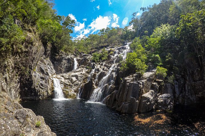 Behana Canyon Rainforest And Waterfall Experience - thumb 5