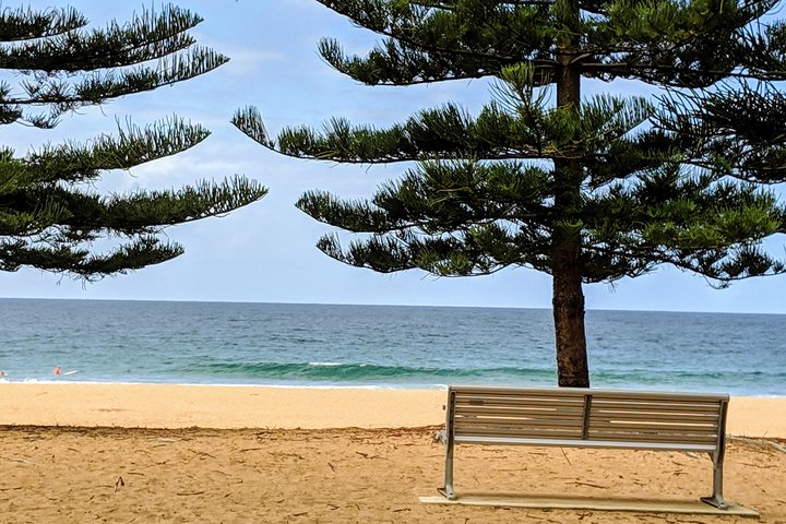 Manly & Sydney's Northern Beaches With 'Personalised Sydney Tours' - New South Wales Tourism  0