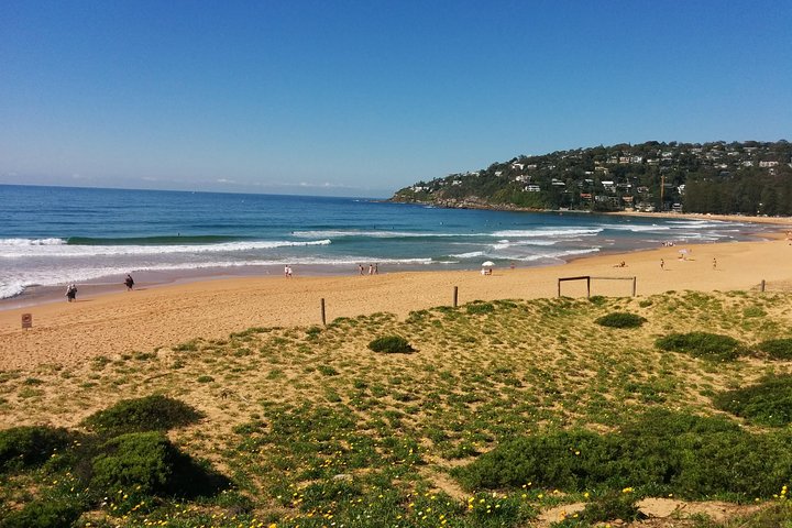 Manly & Sydney's Northern Beaches With 'Personalised Sydney Tours' - New South Wales Tourism  5