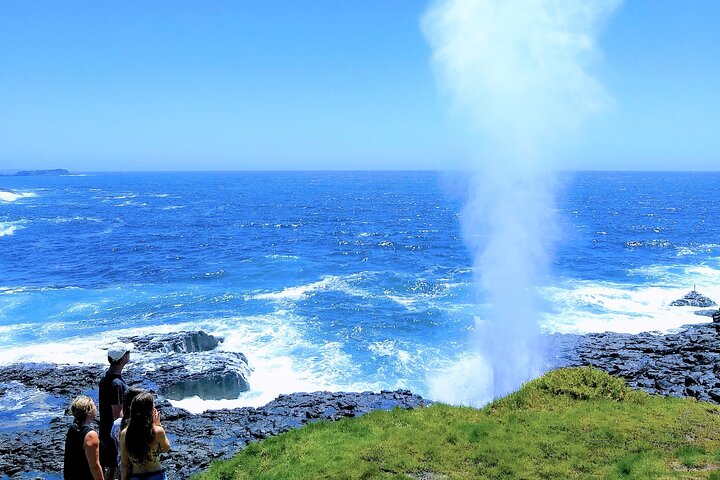 Erupting Blowholes And Ancient Rainforests With 'Personalised Sydney Tours' - thumb 5