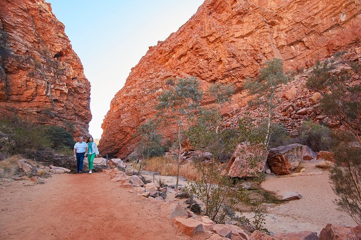Best Of Alice Springs Full Day Tour - thumb 1