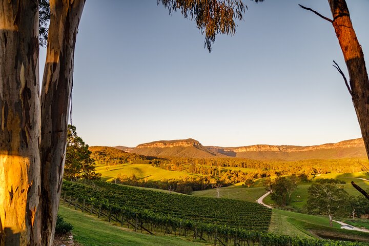 Taste Of The Blue Mountains - Lunch & Wine Tasting, Beer, Cider & Gin Tasting - thumb 1