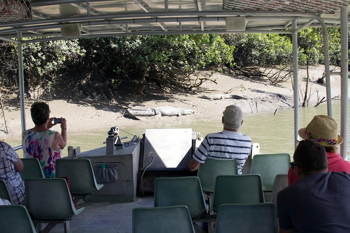 Whitsunday Crocodile Safari including Lunch - SA Accommodation