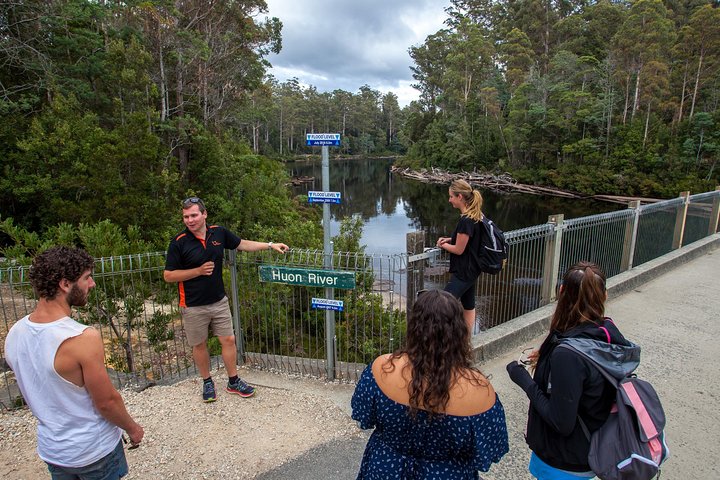 Tahune Airwalk Active Day Trip From Hobart Including Hastings Caves - Find Attractions 1