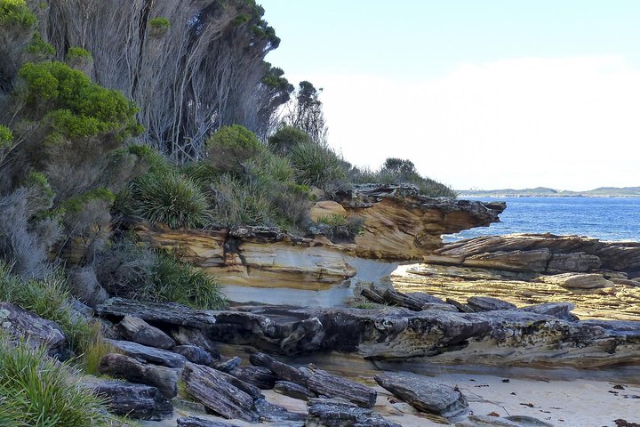 Day Trip To Cronulla & The Royal National Park - Accommodation Newcastle 4