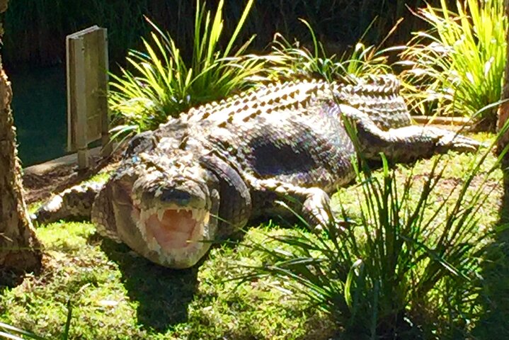 Central Coast Private Tour From Sydney, With Australian Reptile Park Option - thumb 4
