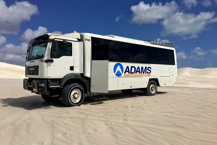 Pinnacles Desert, Koalas And Sandboarding 4WD Day Tour From Perth - thumb 2