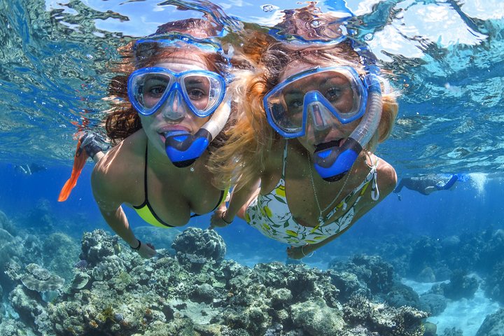 Great Barrier Reef Snorkeling And Diving Cruise From Cairns - Accommodation QLD 3