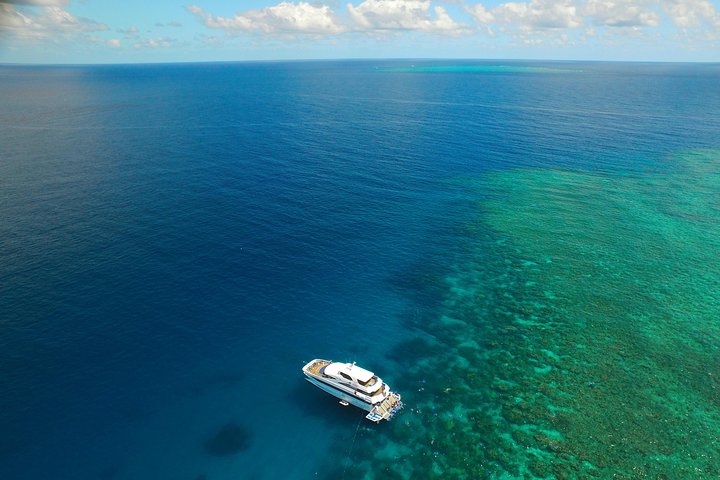 Great Barrier Reef Snorkeling And Diving Cruise From Cairns - Accommodation QLD 4
