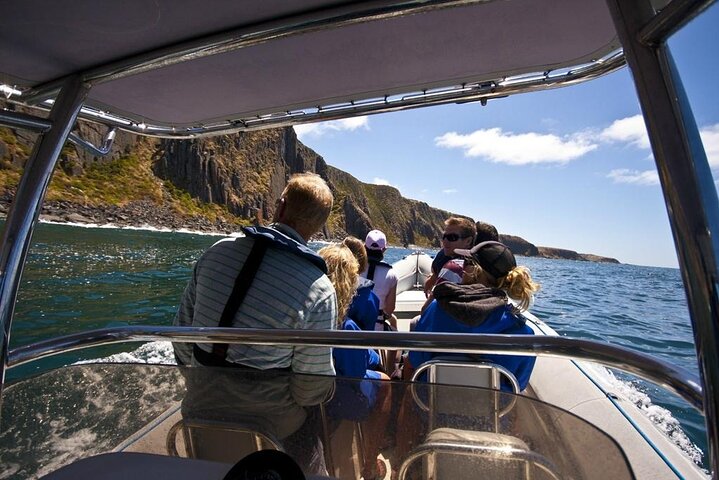 Seal Island Boat Tour From Victor Harbor - thumb 2