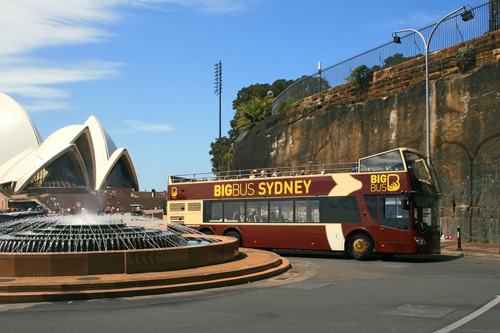 Big Bus Sydney And Bondi Hop-on Hop-off Tour - thumb 3