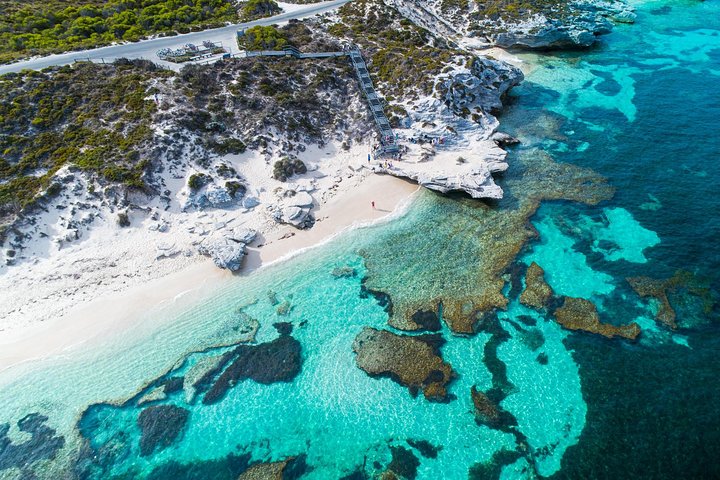 Rottnest Island Round-Trip Ferry from Perth or Fremantle - Tourism Bookings WA