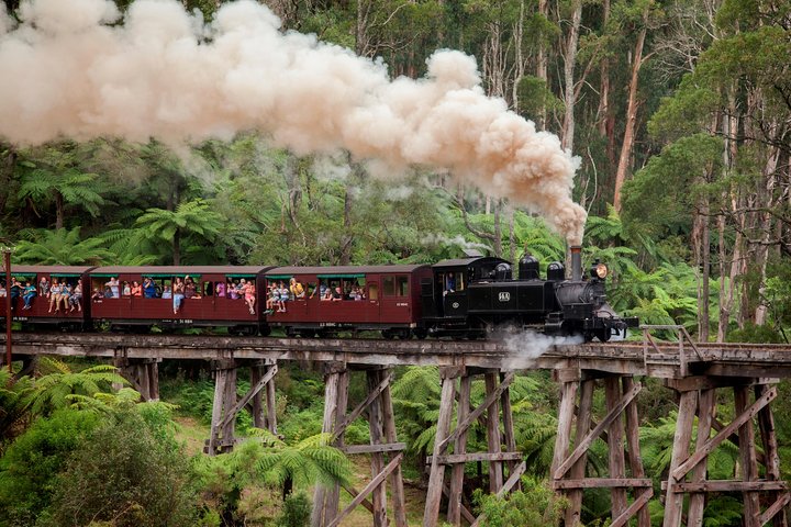 Melbourne Combo: Great Ocean Road, Puffing Billy, Moonlit Sanctuary & Penguins - thumb 1