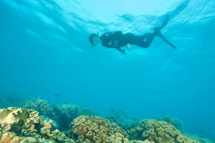 Ocean Freedom Great Barrier Reef Personal Luxury Snorkel & Dive Cruise, Cairns - thumb 5