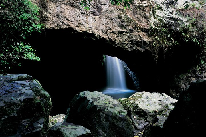 Springbrook National Park & Gold Coast Full Day Luxury Tour From Brisbane - thumb 2