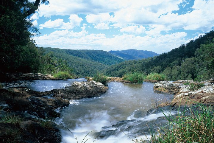Springbrook National Park & Gold Coast Full Day Luxury Tour From Brisbane - thumb 3