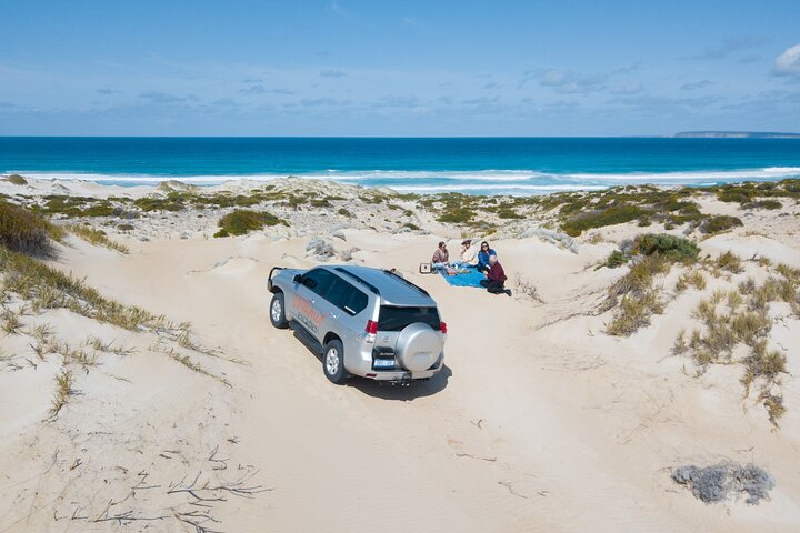 10 Day Adelaide to Perth Private Tour - The Great Australian Wilderness Journey - Accommodation Adelaide