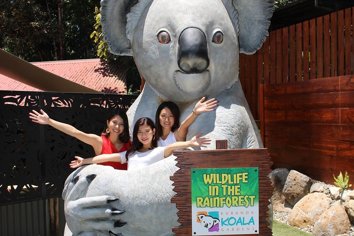 Kuranda Koala Gardens And Birdworld Admission Tickets - Accommodation Australia 3
