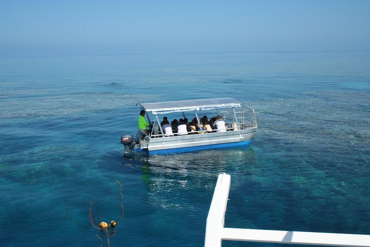 Seastar Luxury Outer Great Barrier Reef Island And Reef Tour From Cairns - Accommodation Whitsundays 5