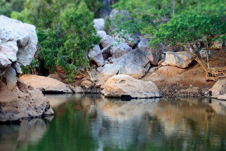Windjana Gorge And Tunnel Creek 4WD Tour From Broome - Kalgoorlie Accommodation 5