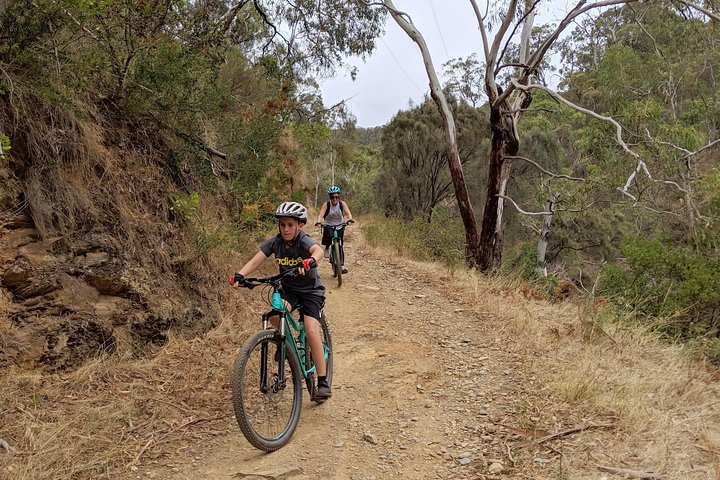 Mount Lofty Descent Bike Tour From Adelaide - thumb 0