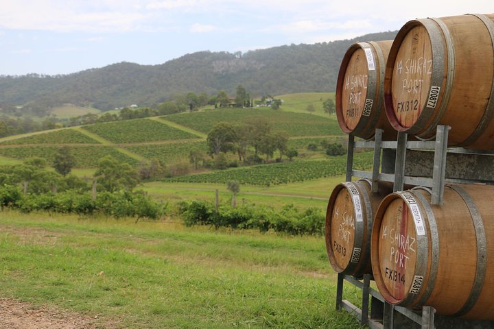 Hunter Valley Wine Tour From Sydney Incl Lunch, Cheese, Chocolate And Distillery - thumb 5