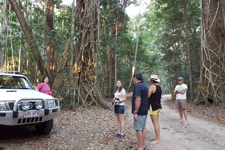 Great Beach Drive 4WD Tour - Private Charter From Noosa To Rainbow Beach - thumb 1