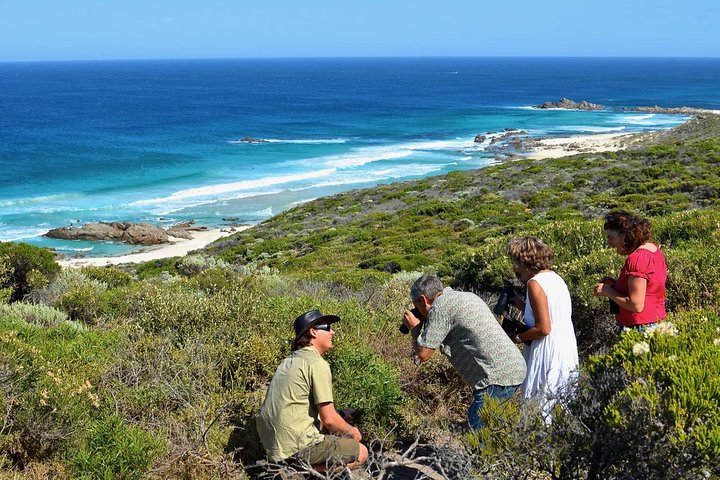 Margaret River Coastal And Wildlife Eco Trip From Busselton Or Dunsborough - thumb 2