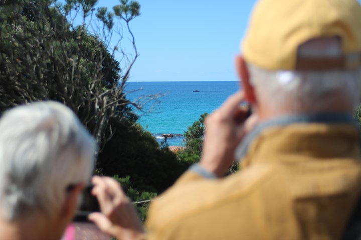 Margaret River Coastal And Wildlife Eco Trip From Busselton Or Dunsborough - thumb 5